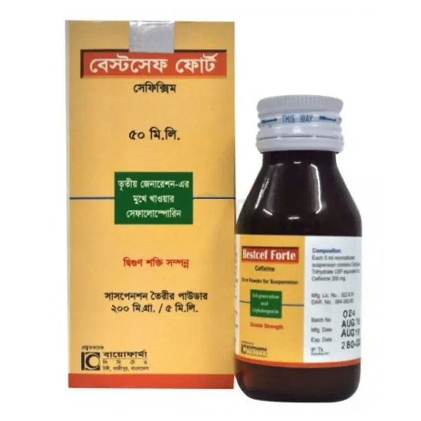 বেস্টসেফ ফোর্ট বেস্টসেফ ফোর্ট
