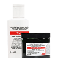 Derma 50 mg Capsule Derma 50 mg Capsule