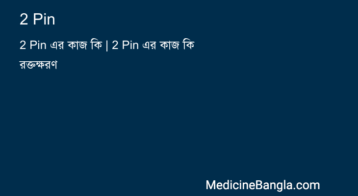 2 Pin in Bangla