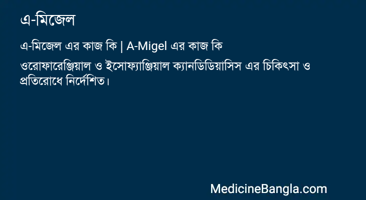এ-মিজেল এর কাজ এ-মিজেল in Bangla