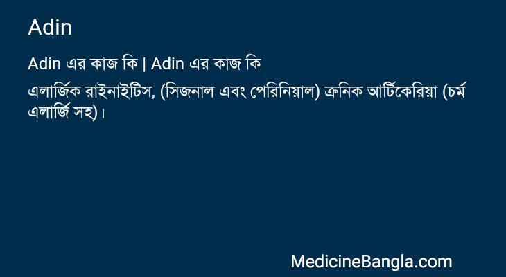 Adin এর কাজ Adin in Bangla