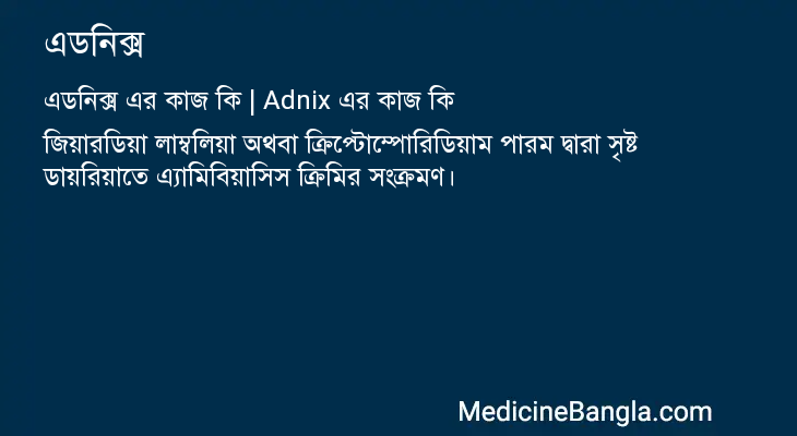 এডনিক্স এর কাজ এডনিক্স in Bangla