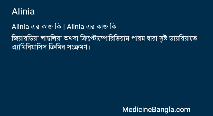 Alinia এর কাজ Alinia in Bangla