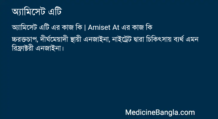 অ্যামিসেট এটি এর কাজ অ্যামিসেট এটি in Bangla