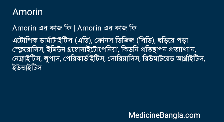 Amorin এর কাজ Amorin in Bangla