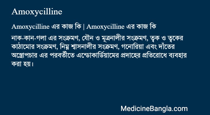 Amoxycilline এর কাজ Amoxycilline in Bangla