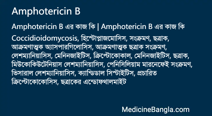 Amphotericin B এর কাজ Amphotericin B in Bangla