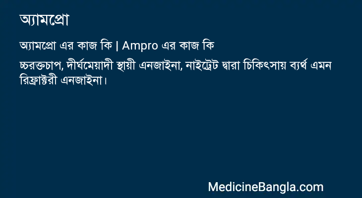 অ্যামপ্রো এর কাজ অ্যামপ্রো in Bangla