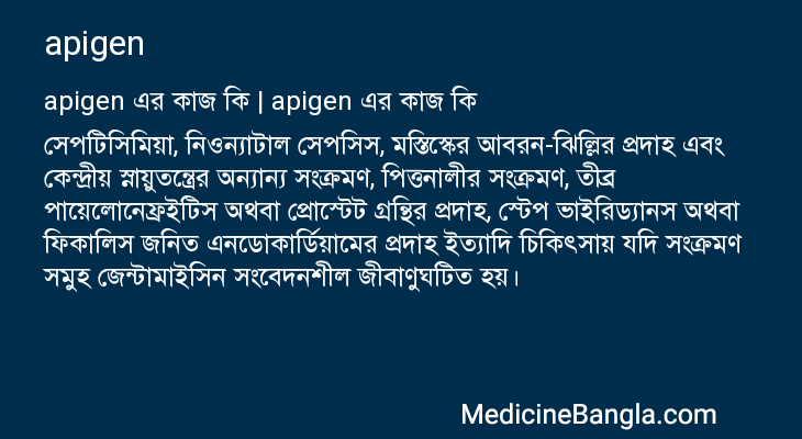 apigen এর কাজ apigen in Bangla