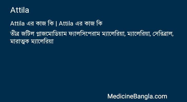 Attila এর কাজ Attila in Bangla