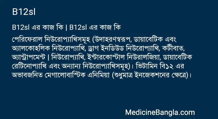 B12sl এর কাজ B12sl in Bangla
