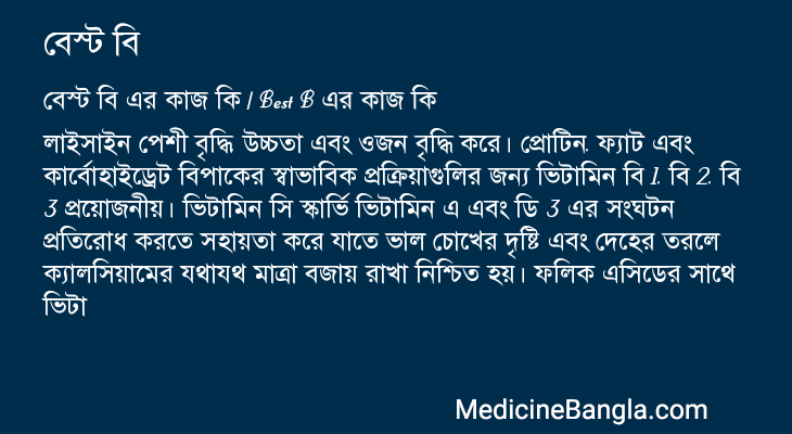 বেস্ট বি এর কাজ বেস্ট বি in Bangla