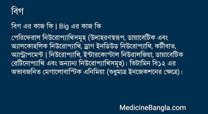 বিগ এর কাজ বিগ in Bangla