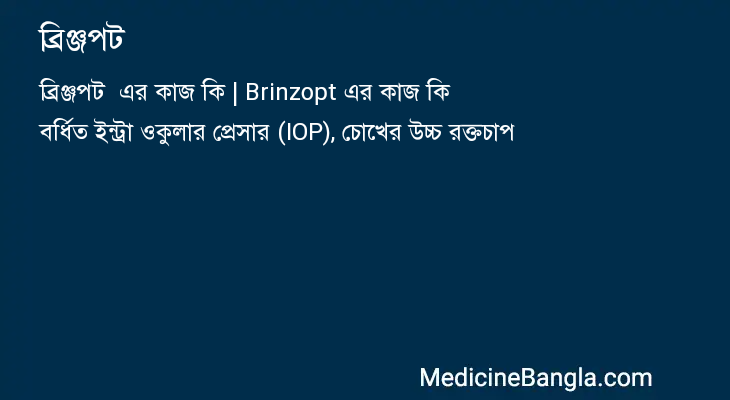 ব্রিঞ্জপট এর কাজ ব্রিঞ্জপট in Bangla