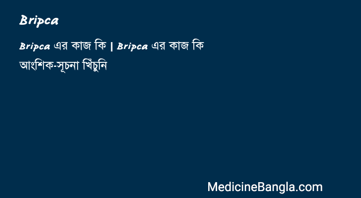 Bripca in Bangla
