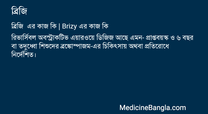 ব্রিজি এর কাজ ব্রিজি in Bangla