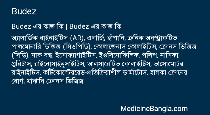 Budez এর কাজ Budez in Bangla