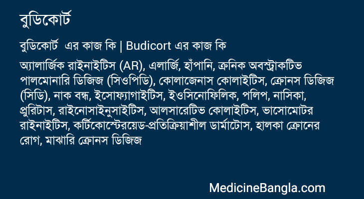 বুডিকোর্ট এর কাজ বুডিকোর্ট in Bangla