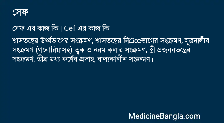 সেফ এর কাজ সেফ in Bangla