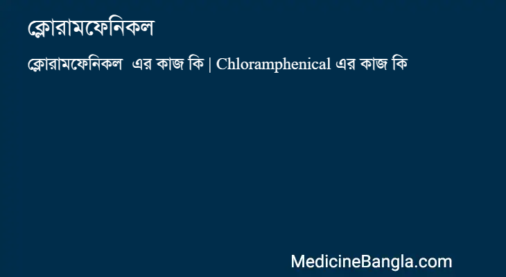 ক্লোরামফেনিকল এর কাজ ক্লোরামফেনিকল in Bangla
