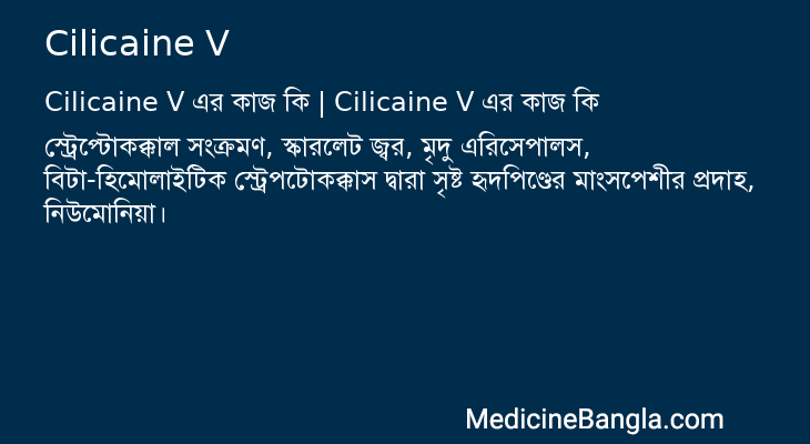 Cilicaine V এর কাজ Cilicaine V in Bangla