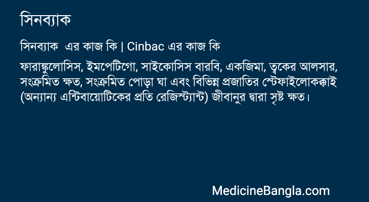 সিনব্যাক এর কাজ সিনব্যাক in Bangla