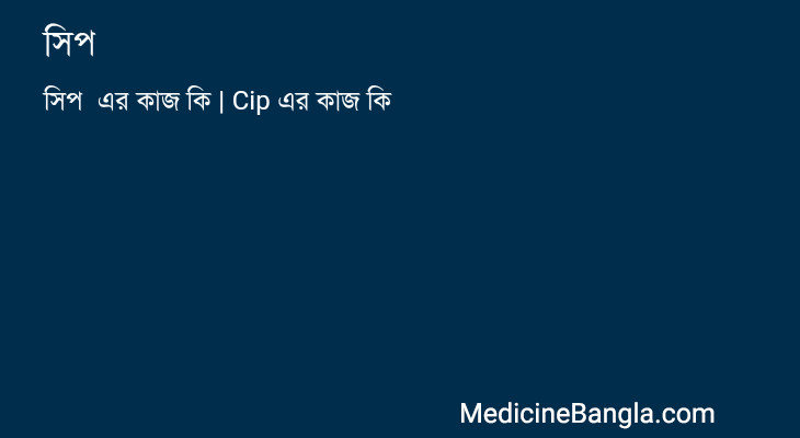 সিপ এর কাজ সিপ in Bangla