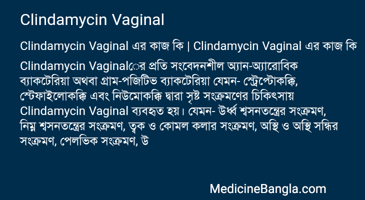 Clindamycin Vaginal এর কাজ Clindamycin Vaginal in Bangla