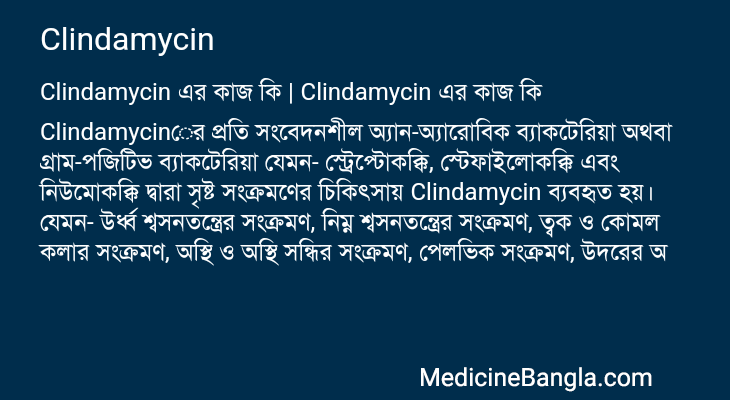 Clindamycin এর কাজ Clindamycin in Bangla
