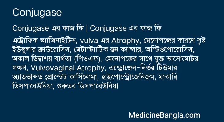 Conjugase এর কাজ Conjugase in Bangla