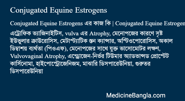 Conjugated Equine Estrogens এর কাজ Conjugated Equine Estrogens in Bangla