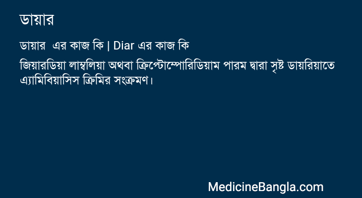 ডায়ার এর কাজ ডায়ার in Bangla