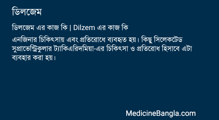 ডিলজেম এর কাজ ডিলজেম in Bangla