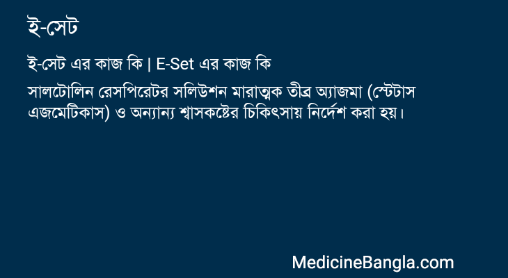 ই-সেট এর কাজ ই-সেট in Bangla