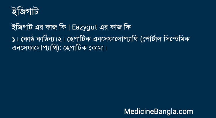 ইজিগাট এর কাজ ইজিগাট in Bangla