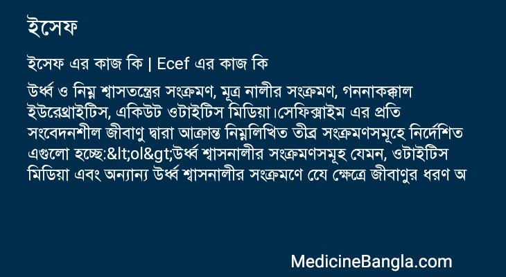 ইসেফ এর কাজ ইসেফ in Bangla