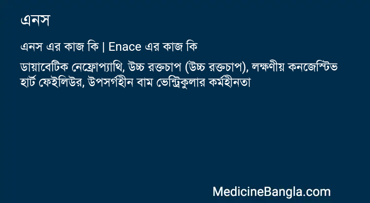 এনস এর কাজ এনস in Bangla