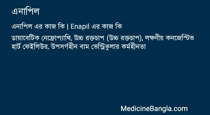 এনাপিল এর কাজ এনাপিল in Bangla