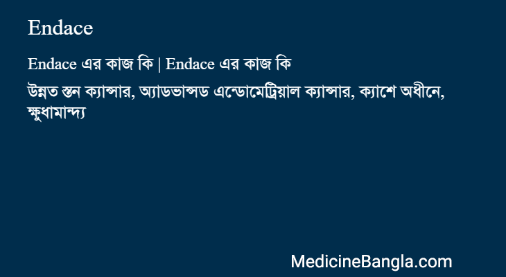 Endace এর কাজ Endace in Bangla