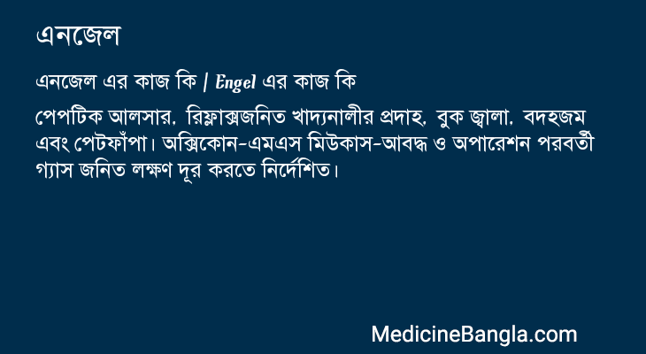 এনজেল এর কাজ এনজেল in Bangla