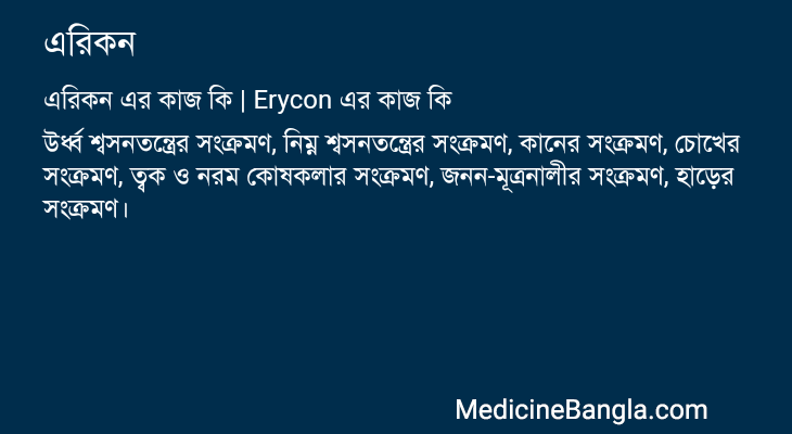 এরিকন এর কাজ এরিকন in Bangla