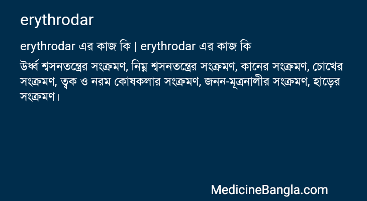 erythrodar এর কাজ erythrodar in Bangla
