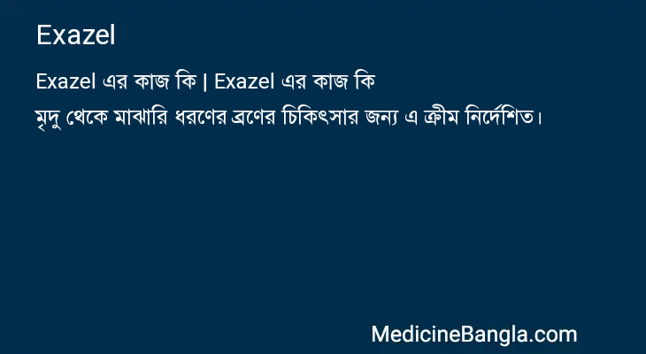 Exazel এর কাজ Exazel in Bangla