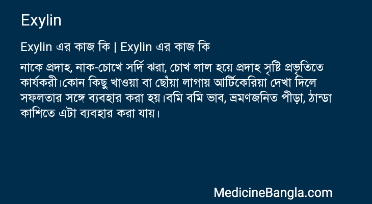 Exylin এর কাজ Exylin in Bangla