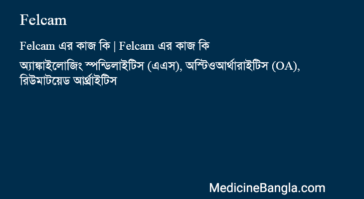 Felcam এর কাজ Felcam in Bangla