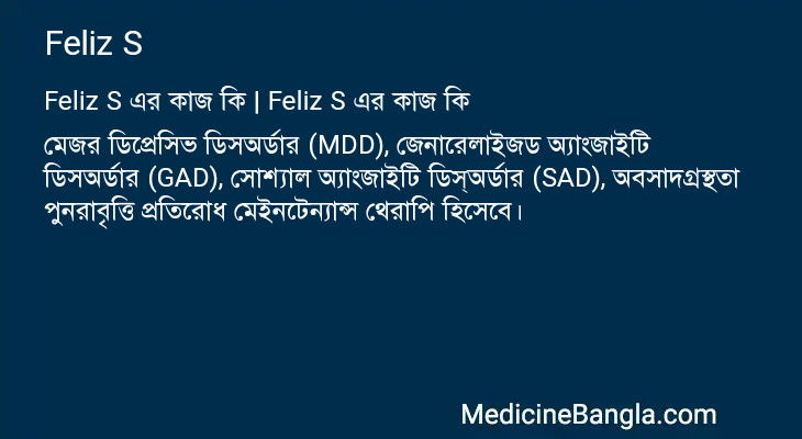 Feliz S এর কাজ Feliz S in Bangla