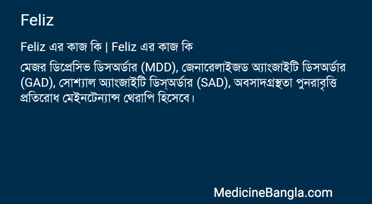 Feliz এর কাজ Feliz in Bangla