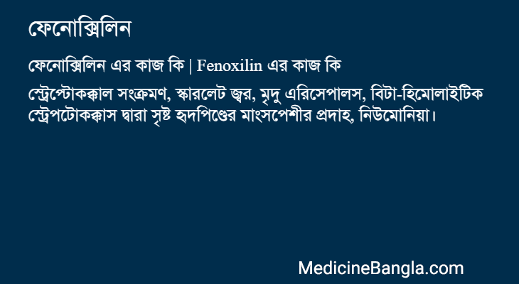 ফেনোক্সিলিন এর কাজ ফেনোক্সিলিন in Bangla