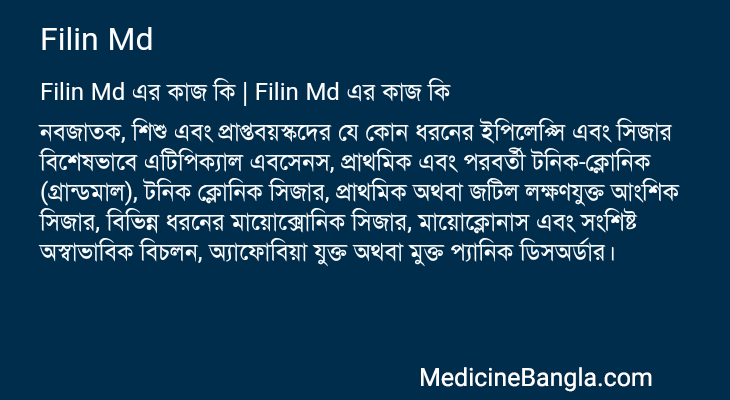 Filin Md এর কাজ Filin Md in Bangla