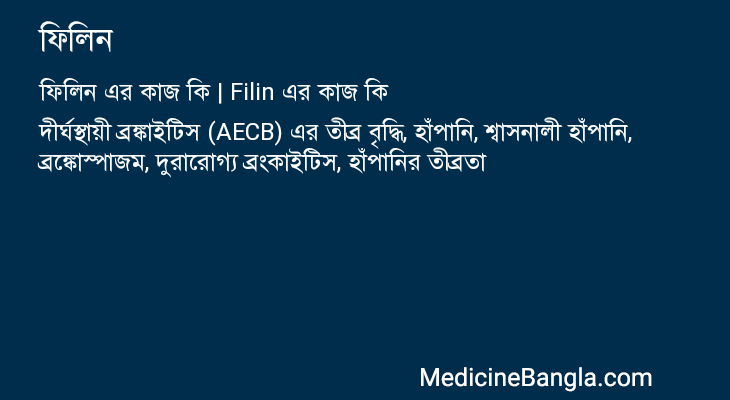ফিলিন এর কাজ ফিলিন in Bangla